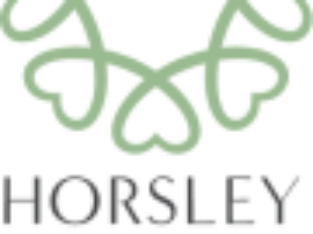 Horsley Wheel of Care