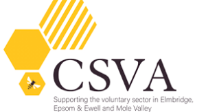Central Surrey Voluntary Action - Cost of Living Funding for Children and Young People